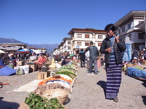 RIMG0954